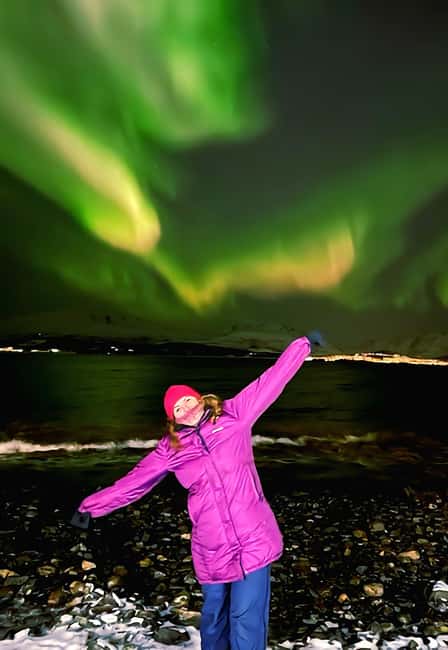 Tromsø: Northern Lights Chase — Small Group Experience - From Hotel Pickup at 20:00 to the First Dark Skies