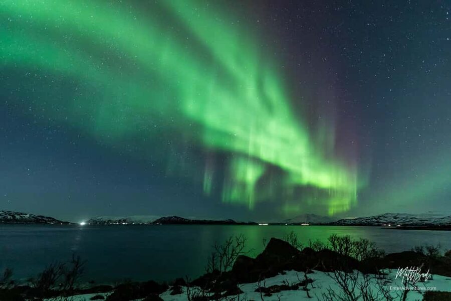 Tromsø: Northern Lights Chase with Expert Guides & Photos - Key things to know before you go