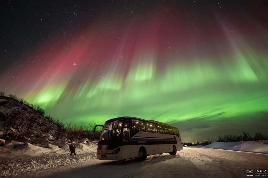 Tromsø: Northern Lights Chase with Expert Guides & Photos - The whole point of a Tromsø Aurora Chase, and why a bus works