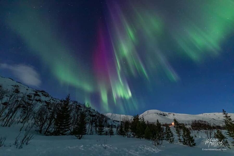Tromsø: Northern Lights Chase with Expert Guides & Photos - The bus as your Arctic base: warmth, hot drinks, and toilets