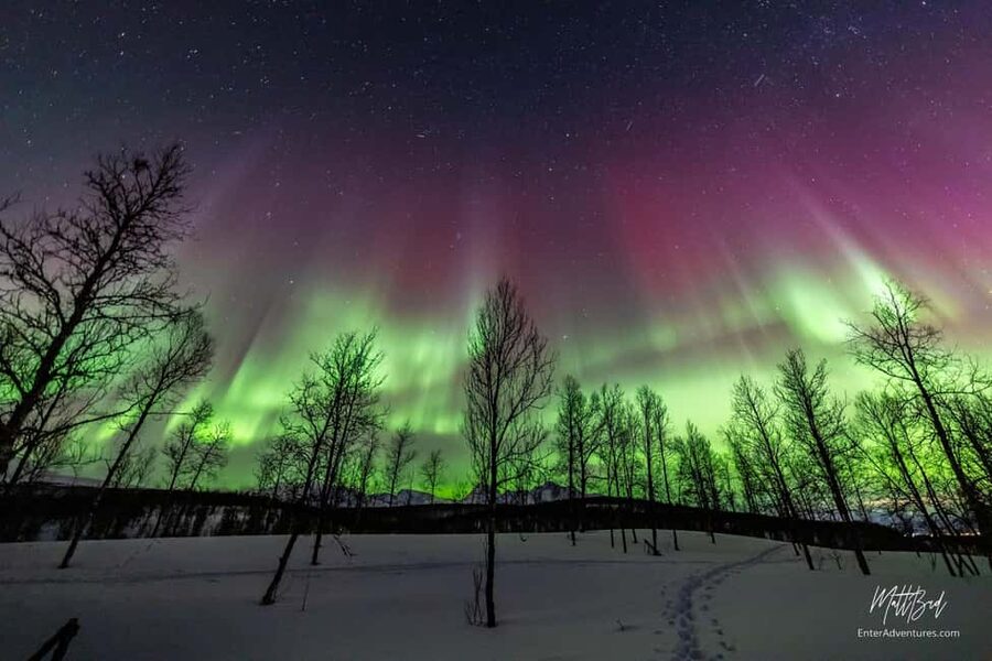 Tromsø: Northern Lights Chase with Expert Guides & Photos - Photo help that you can use on your first try