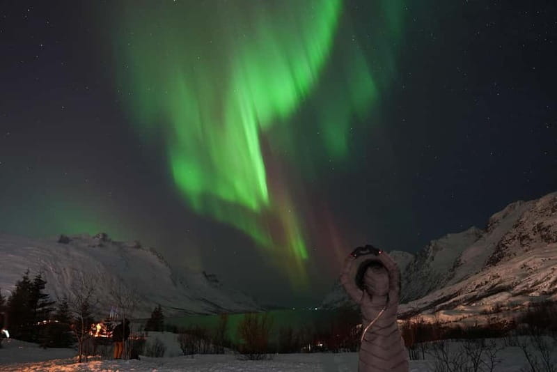 Tromsø: Northern Lights Chase with Local Guide & Free Photos - Staying warm: thermal suit, hot drinks, and real comfort
