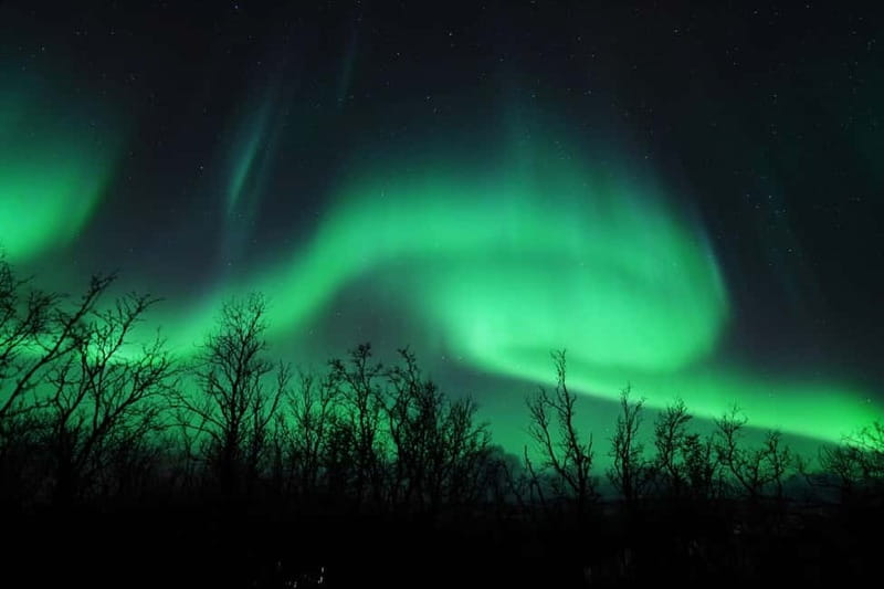 Tromsø: Northern Lights Chase with Local Guide & Free Photos - The included free photos, and what Alejandro does for your camera