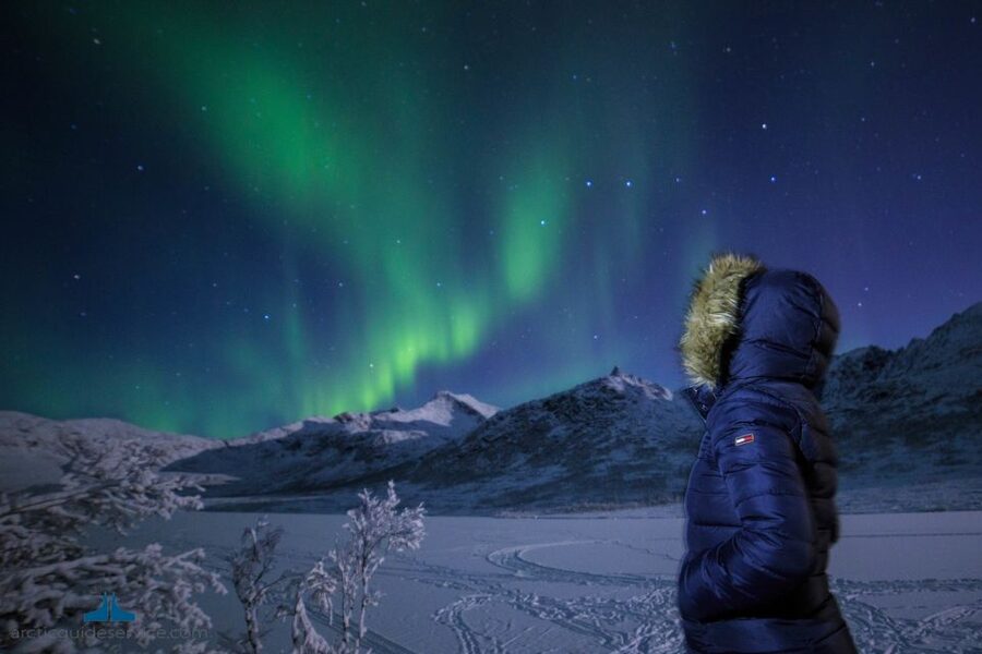 Tromso: Northern Lights Chase with Photo Package Included - Logistics That Actually Affect Your Night