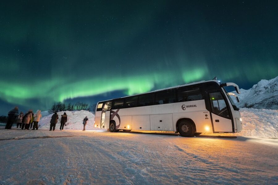 Tromso: Northern Lights Chase with Photo Package Included - What the 6.5 Hours Feels Like: Bus, Stops, and Warm Breaks