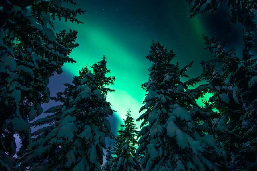 Tromsø: Northern Lights Hunt with a Professional Photographer in Spanish - Meet at the Ice Bar, Then Let Clear-Sky Hunting Take Over