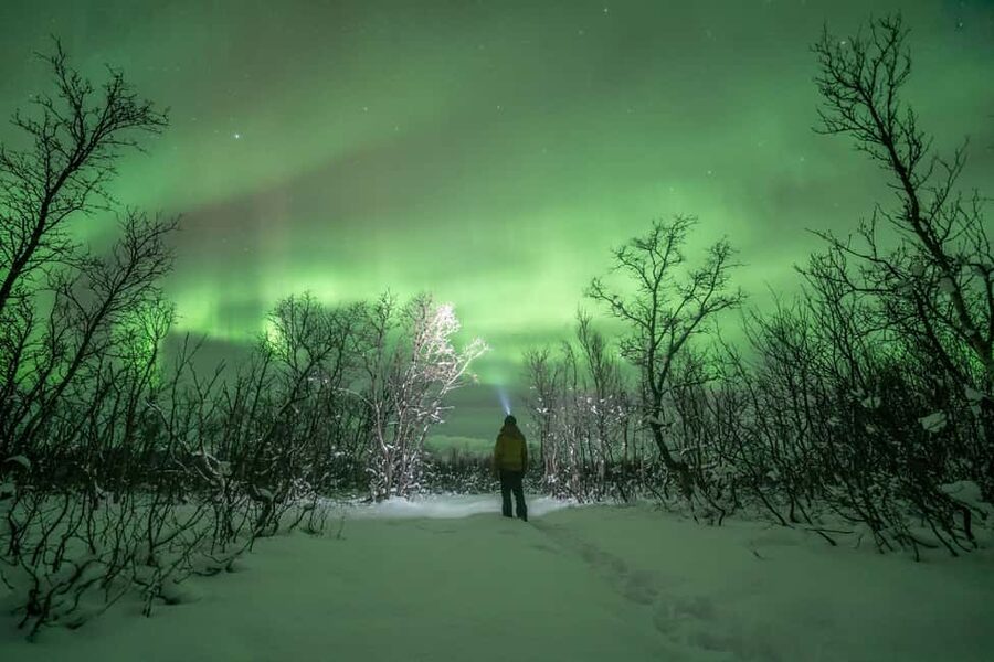 Tromsø: Northern Lights Hunt with Photos and Hot Food - Thermal Suits, Warm Feet, and the Real Comfort Win