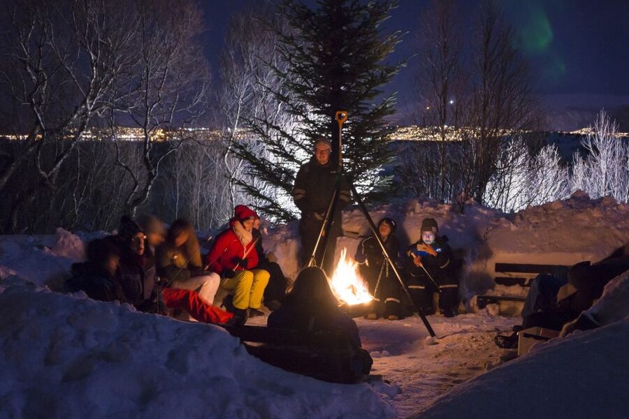 Tromsø: Northern Lights Husky Visit with Traditional Dinner - Key things I’d circle before you go