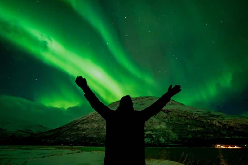 Tromsø: Northern Lights in a Minivan with Free Photos and a Hot Meal - How the Guides Actually Improve Your Chances