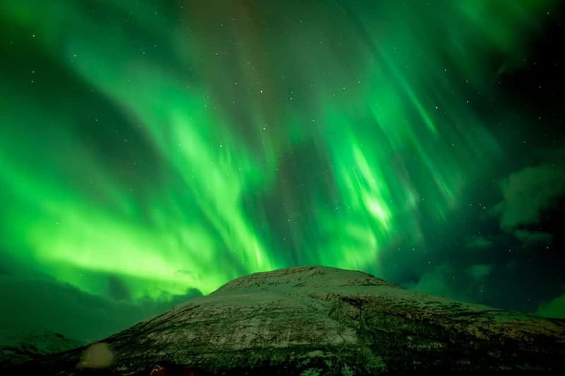 Tromsø: Northern Lights in a Minivan with Free Photos and a Hot Meal - What You Wear and Eat So You Can Focus on the Sky