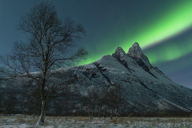 Tromso Northern Lights Minibus Chase Small Group Tour with Photos - Price and Value: Is 210.53 Per Person Fair?