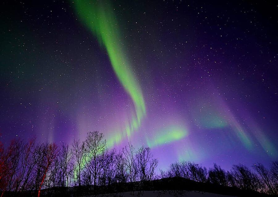 Tromso: Northern Lights Minibus Tour with Campfire - Key things to know before you go