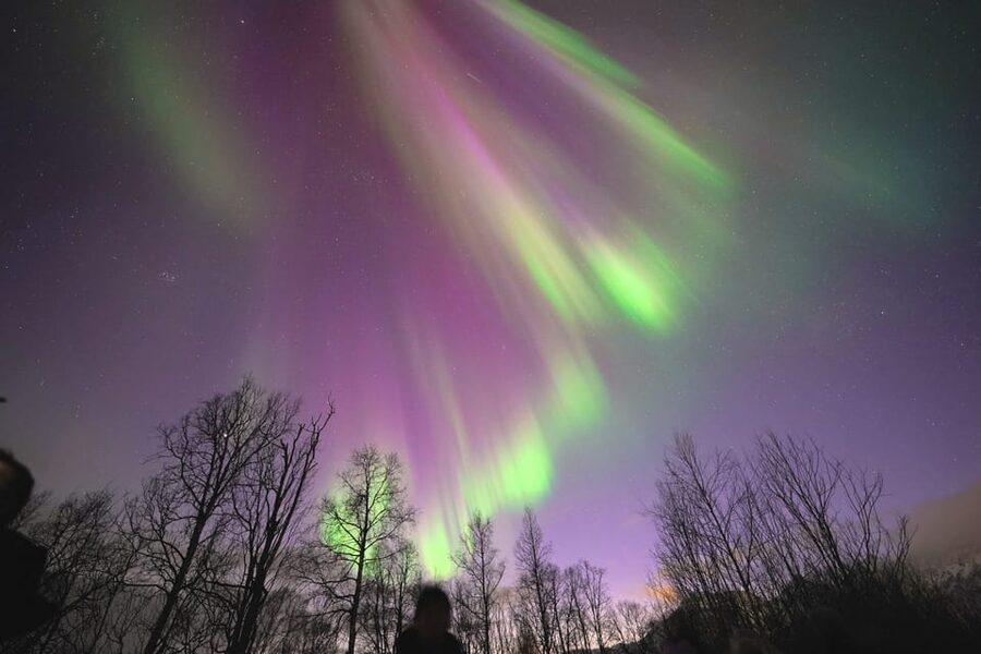 Tromso: Northern Lights Minibus Tour with Campfire - Why This Tromsø Northern Lights Chase Works Better Than Waiting in Town