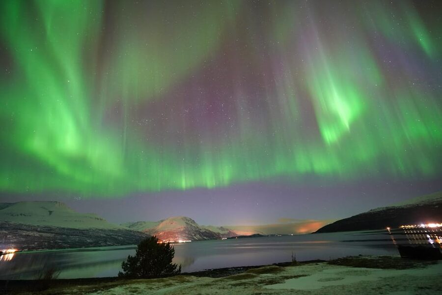 Tromso: Northern Lights Minibus Tour with Campfire - Pickup in Tromsø and the Finland Border Option