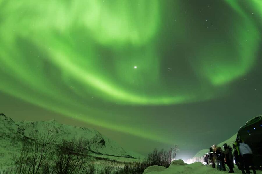 Tromsø: Northern Lights Minibus Tour with Local Experts - The actual aurora chase: multiple photo stops and the Finland option