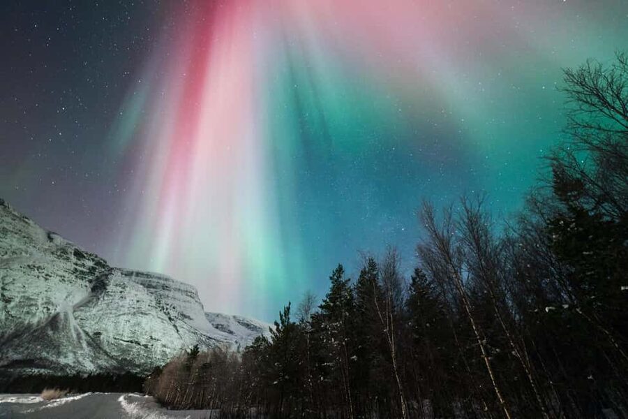 Tromsø: Northern Lights Minibus Tour with Local Experts - Professional aurora photos: how the “courtesy” part really works