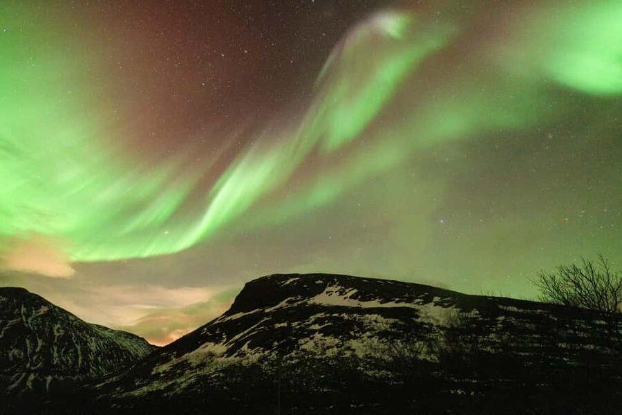 Tromsø: Northern Lights Minibus Tour with Local Experts - My booking advice: should you sign up?