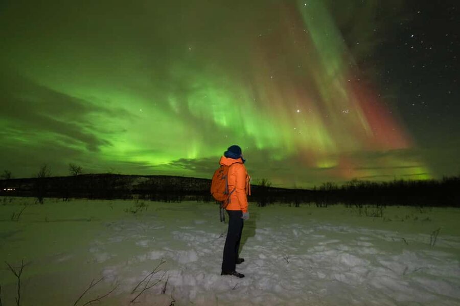 Tromsø: Northern Lights Minibus Tour with Local Experts - Meeting at Storgata 44: logistics you will feel on a snowy night