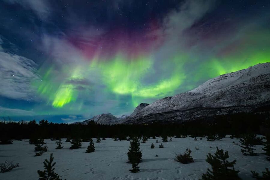 Tromsø: Northern Lights Photography Tour - What Makes the Guides Matter When the Clouds Roll In
