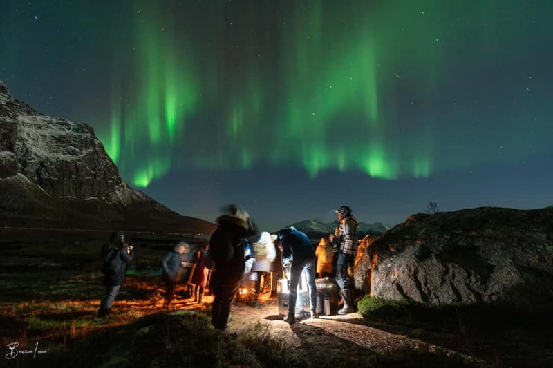 Tromsø: Northern Lights Safari with Expert Guides and Photos - Key highlights to know before you go