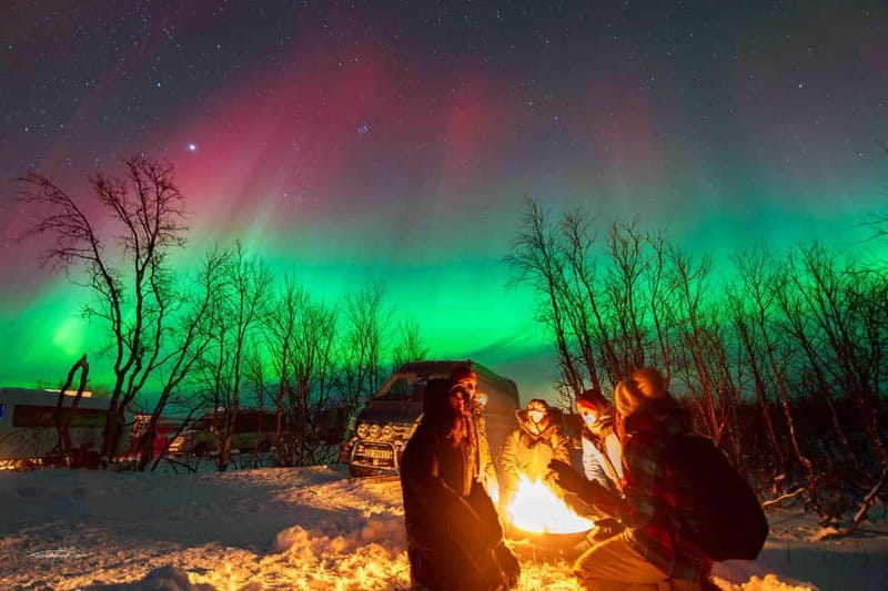 Tromsø: Northern Lights Safari with Expert Guides and Photos - When the Aurora Shows Up: Guides Help You Watch and Get Photos