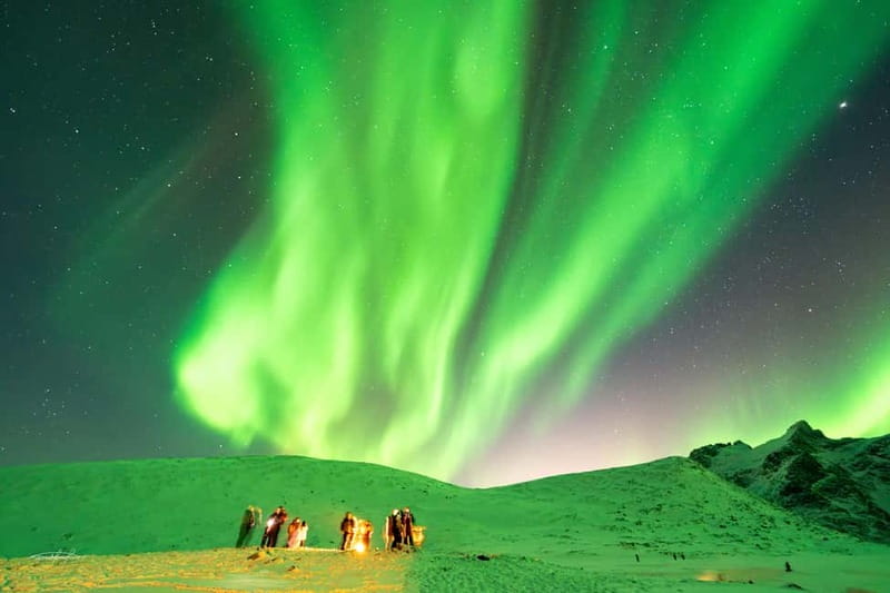 Tromsø: Northern Lights Safari with Expert Guides and Photos - Price and Value: What $61 Buys Beyond the Ride
