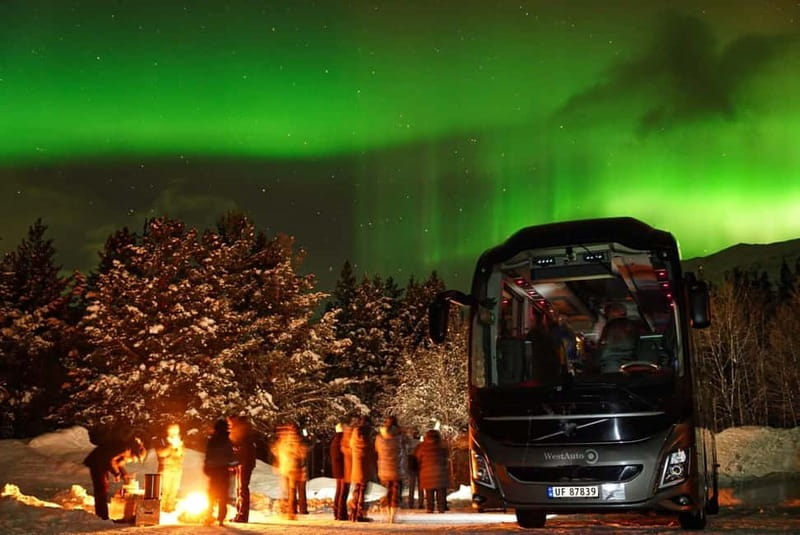 Tromsø: Northern Lights Safari with Expert Guides and Photos - What to Pack and How to Stay Comfortable in Arctic Cold