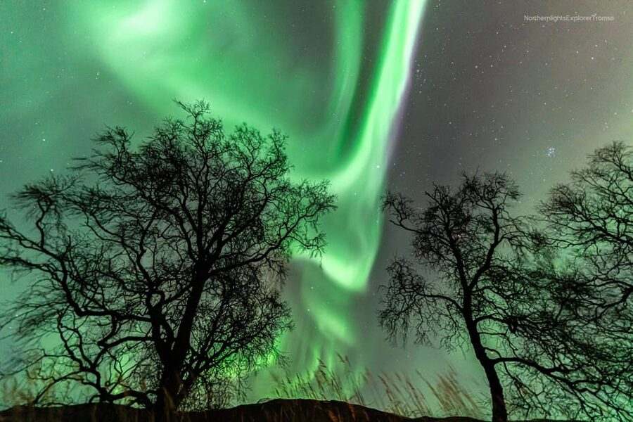 Tromsø: Northern Lights Tour w/Photo, Suits and Local Guide - When This Tour Is a Great Fit (and When It Might Not Be)