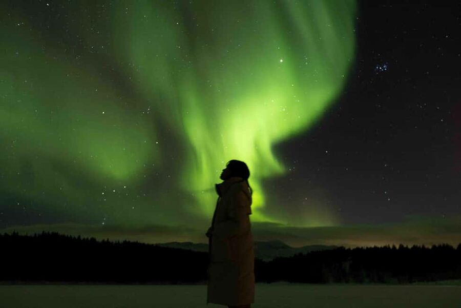 Tromsø: Northern Lights Tour with Dinner and Native Guide - The Drive and the First Secret Stop: Getting Away From the Road