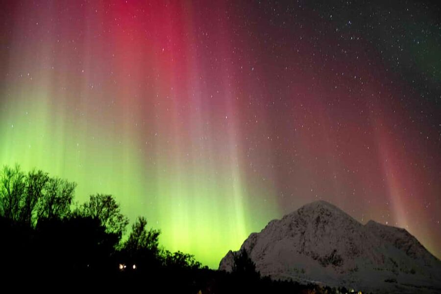 Tromsø: Northern Lights Tour with Dinner and Native Guide - Dinner Under the Aurora: Fish Soup, Berry Drinks, and S’mores