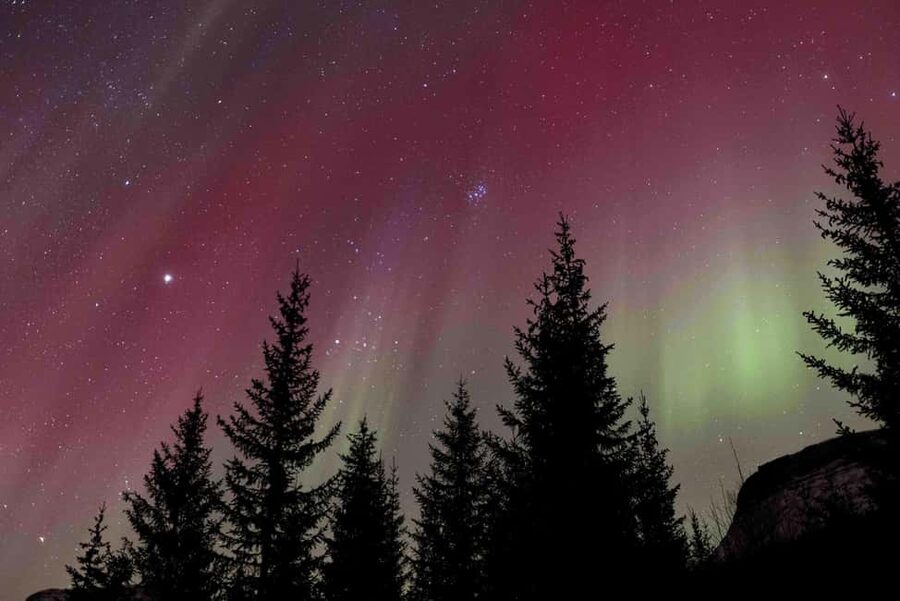 Tromsø: Northern Lights Tour with Dinner and Native Guide - Meeting Point at Vestregata 51 and What to Look For at 18:00