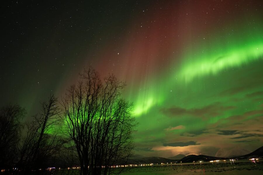 Tromsø: Northern Lights Tour with Local Guide and Photos - Price and Value: What $162 Per Person Actually Covers