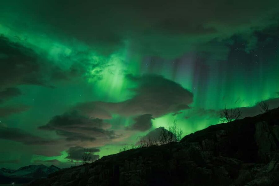 Tromsø: Northern Lights Tour with Local Stories & Photos - Who should book this Tromsø Northern Lights bus tour