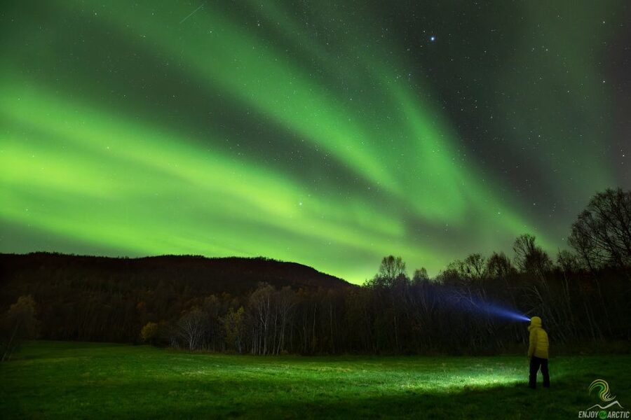 Tromsø: Northern Lights Trip with Campfire and Snacks - Key Things to Know Before You Go
