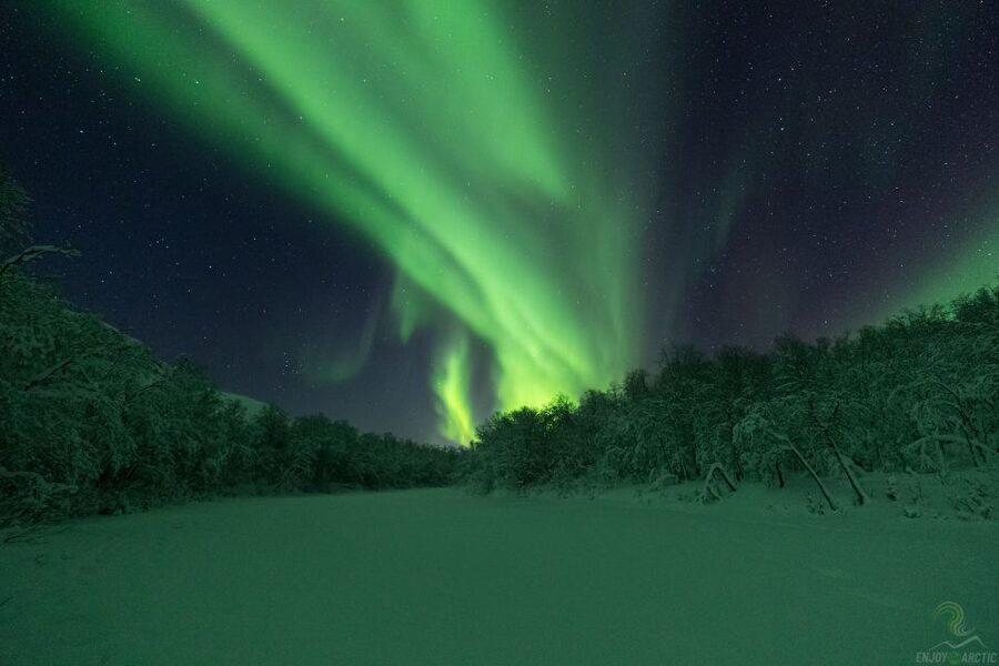 Tromsø: Northern Lights Trip with Campfire and Snacks - The Lantern Moment in Nordic Wilderness at Night