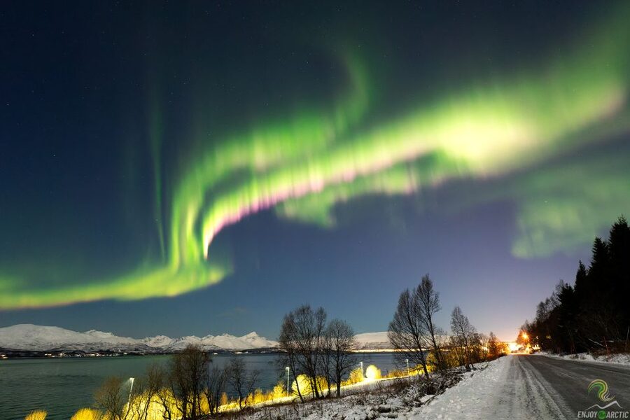 Tromsø: Northern Lights Trip with Campfire and Snacks - Should You Book This Tromsø Northern Lights Trip With Campfire and Snacks?