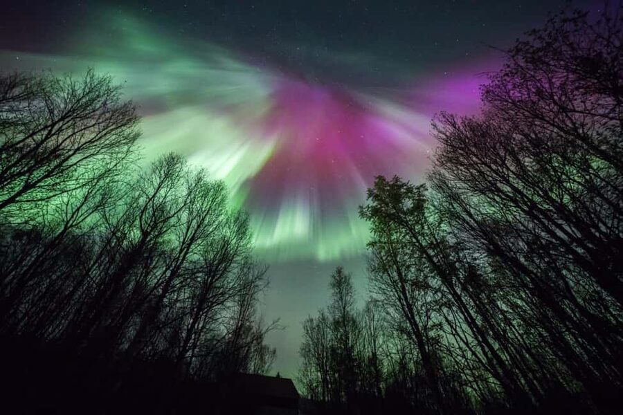 Tromsø: Premium Northern Lights Chase with Free Photos - What you do in Troms County: guided stops, camp time, and a real warm break