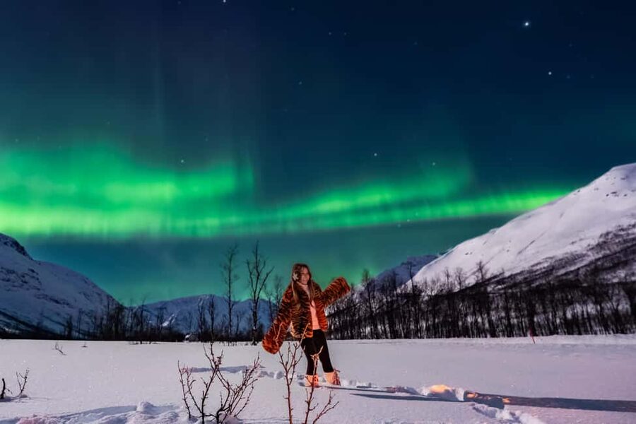 Tromsø: Premium Northern Lights Tour Small Group 8 Guests - A Real Aurora Chase in Tromsø, Built Around Clear-Sky Odds