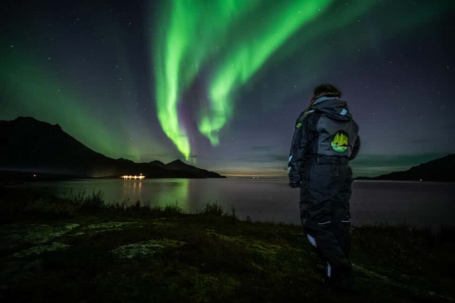 Tromsø: Premium Northern Lights Tour Small Group 8 Guests - Price and Value: Why $209 Can Make Sense for the Right Traveler
