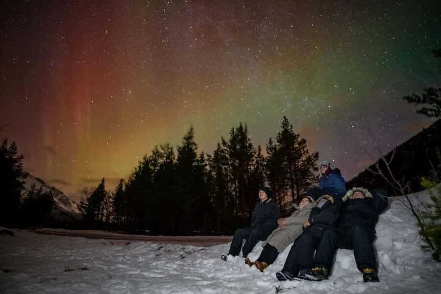 Tromsø: Premium Northern Lights Tour Small Group 8 Guests - Should You Book This Tromsø Northern Lights Tour?