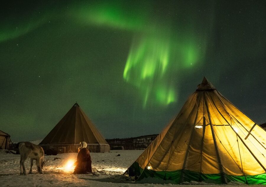 Tromsø: Reindeer Camp Dinner with Chance of Northern Lights - Entering the herd: nighttime reindeer feeding and what to expect