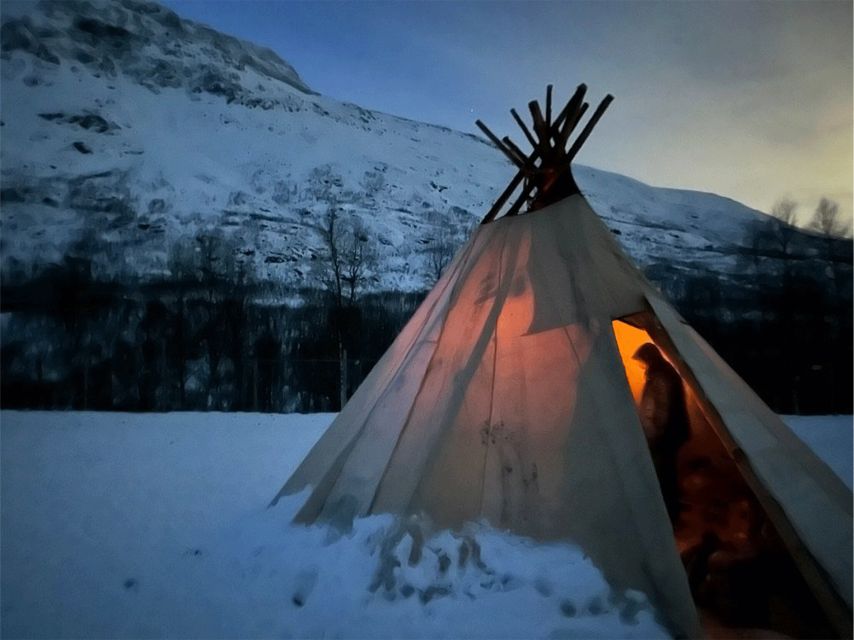 Tromsø: Reindeer Experience at a Sami Camp - Lasso throwing on reindeer antlers, when it happens and how to handle it