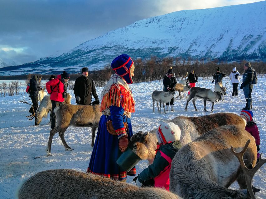 Tromsø: Reindeer Feeding and Sami Cultural Experience - Getting there from Tromsø: meeting point and the comfortable ride