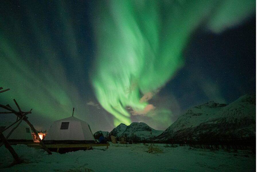 Tromsø: Reindeer Feeding & Chance of Northern Lights Viewing - Key things to know before you go