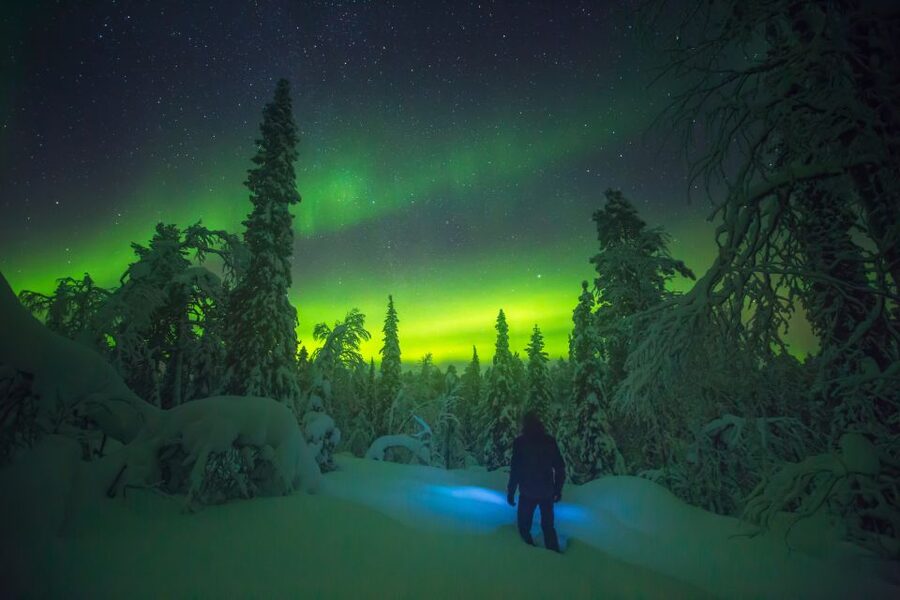 Tromsø: Reindeer Sled, Dinner, and Chance of Northern Lights - Northern Lights Chance: Your Aurora Moment Happens at the Camp