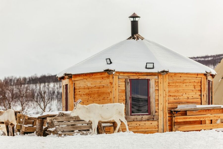 Tromsø: Reindeer Sledding & Feeding with a Sami Guide - Warm Up in the Lavuu: Lunch by the Fire and Joik at the End