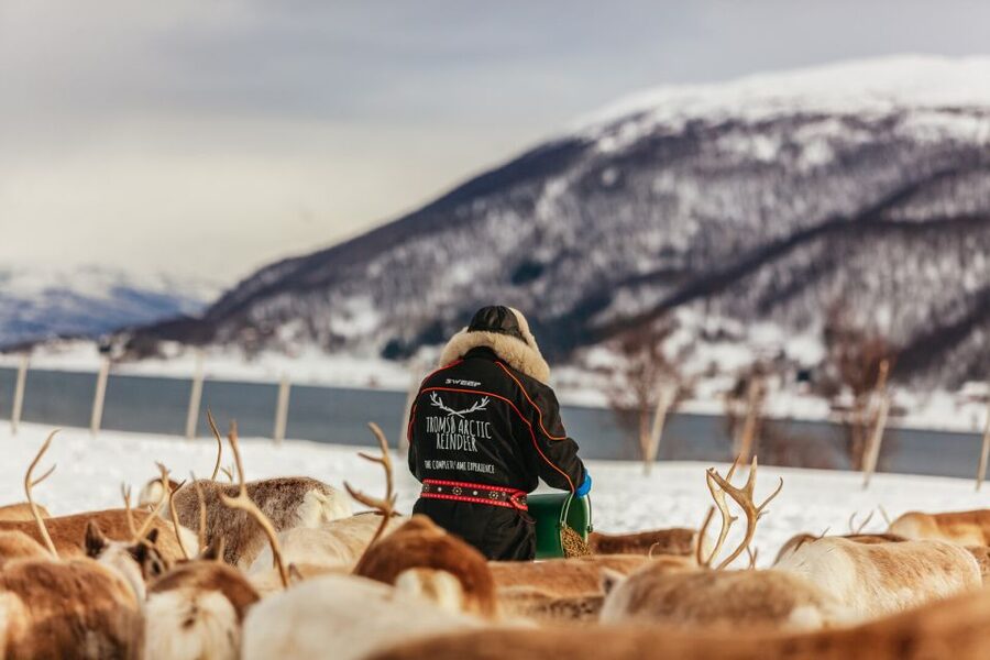 Tromsø: Reindeer Sledding & Feeding with a Sami Guide - Who This Tromsø Reindeer and Sami Camp Tour Suits Best