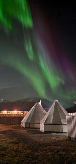 Tromsø: Sami Culture & Reindeer with Transport - Bus Day From Tromsø: What the Arctic Route Transfer Really Means