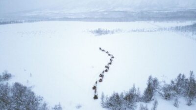 Sámi Reindeer Sledding and Sami Cultural Tour