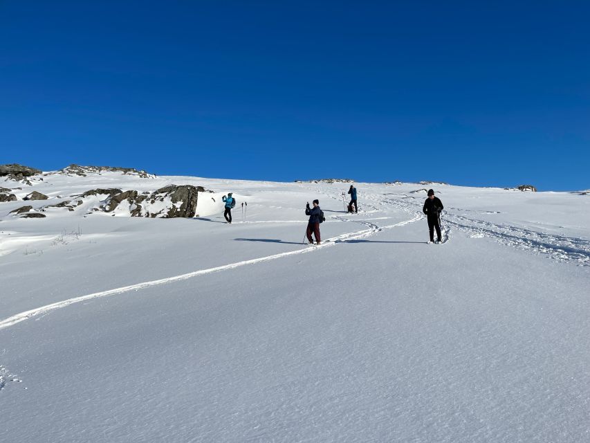 Tromso: Scenic & Eco-Friendly Snowshoeing Tour - Should you book this snowshoe tour on Kvaløya?